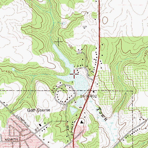 Topographic Map of Maddox Lake, GA