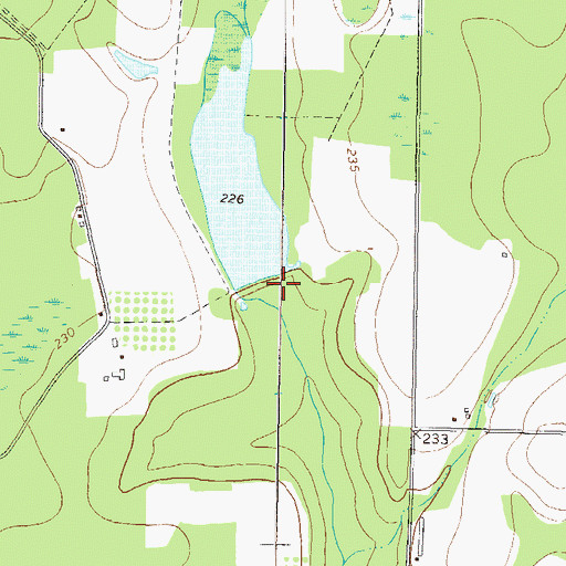 Topographic Map of Gaskins Lake Dam, GA