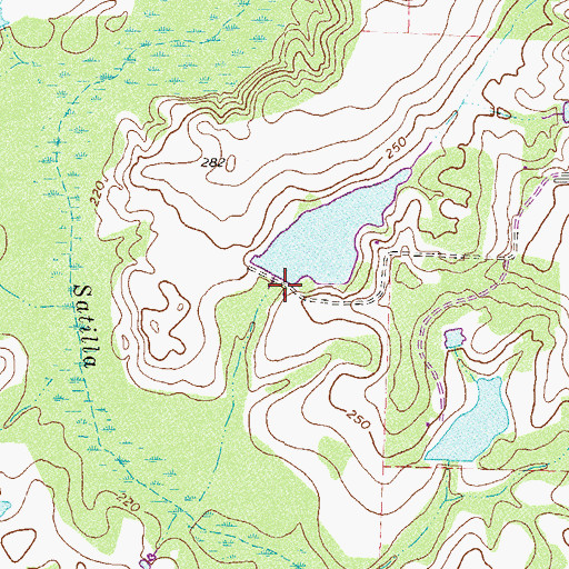 Topographic Map of Paulk Lake Dam, GA