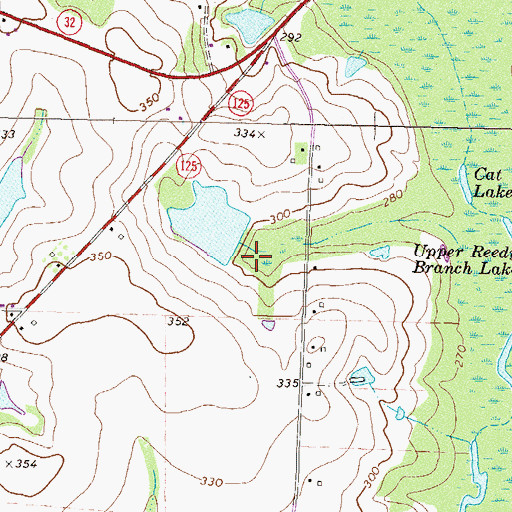 Topographic Map of McDaniel Lake Dam, GA