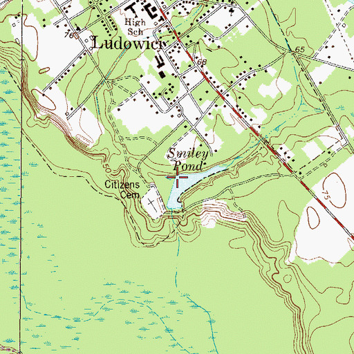 Topographic Map of Smiley Pond Dam, GA