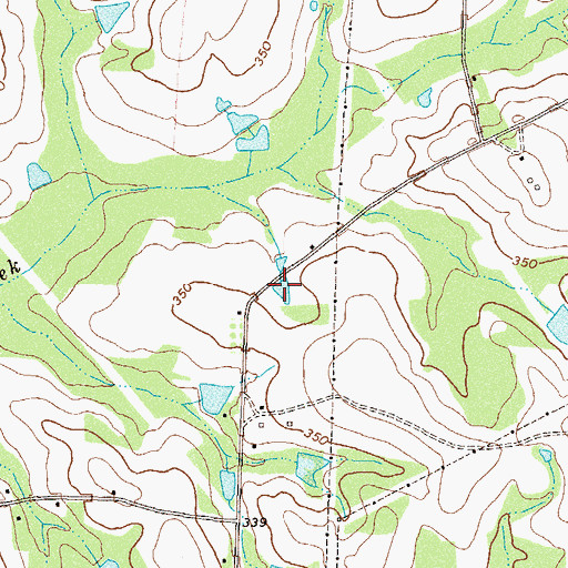 Topographic Map of Branch Lake, GA