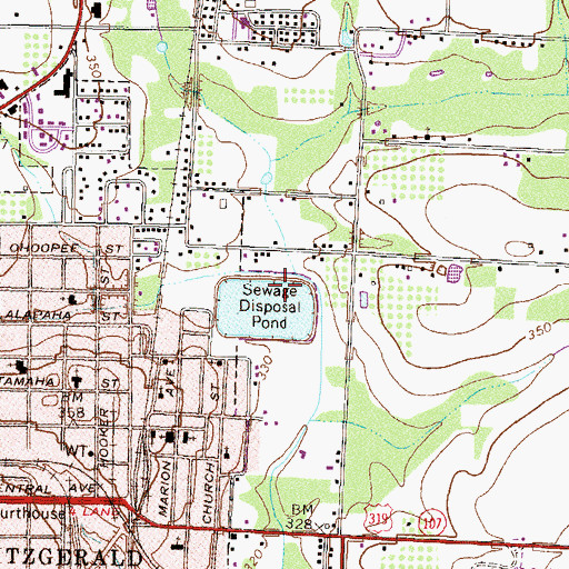 Topographic Map of City of Fitzgerald Dam Northeast, GA
