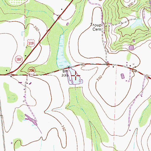 Topographic Map of Dorminy Lake, GA