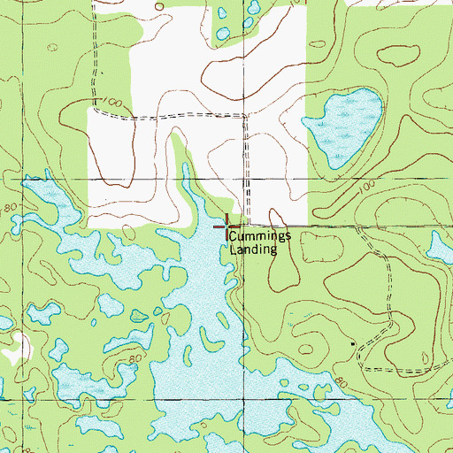 Topographic Map of Cummings Landing, GA