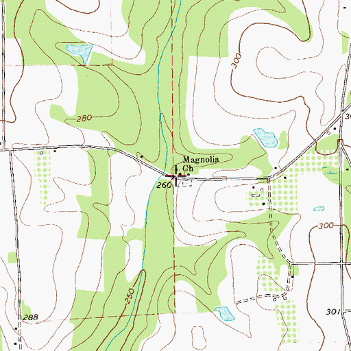 Topographic Map of Magnolia, GA