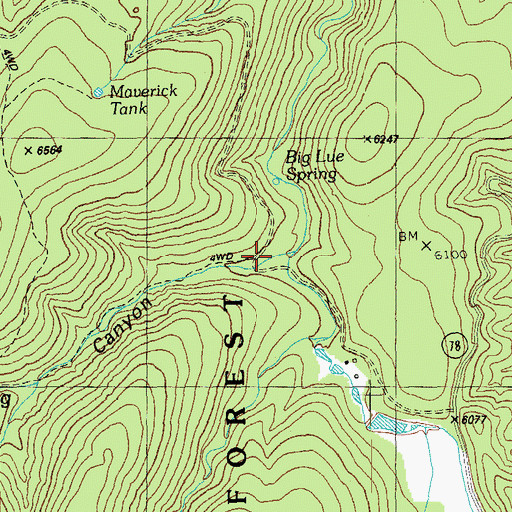 Topographic Map of Seep Spring Canyon, AZ