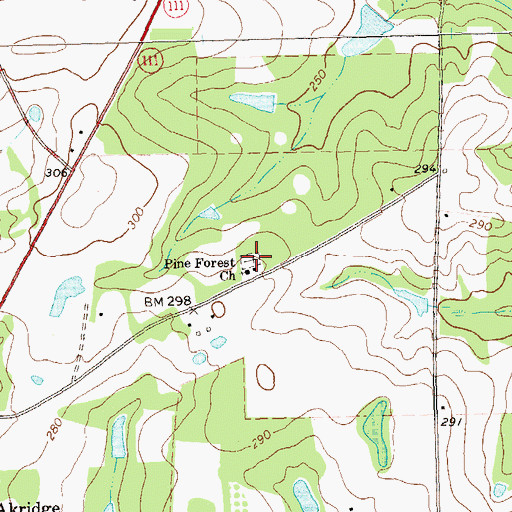 Topographic Map of Pine Forest Cemetery, GA