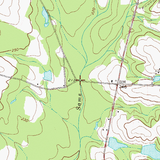 Topographic Map of Banks Bridge, GA