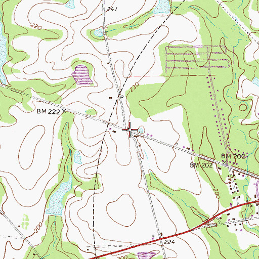 Topographic Map of Shamrock, GA