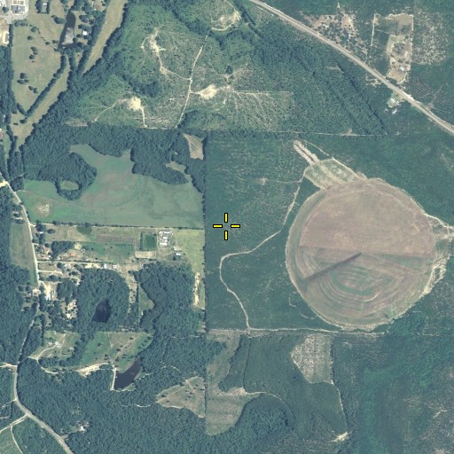 Aerial/Satellite Image of Crawford County, GA