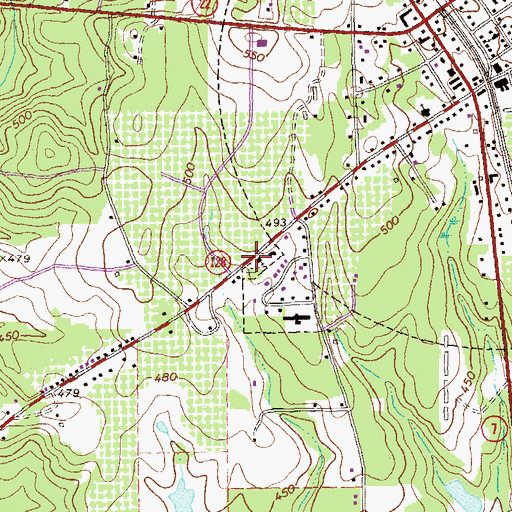 Topographic Map of Pinegrove Primitive Baptist Church, GA