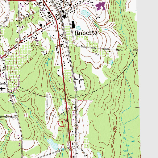Topographic Map of Roberta City Cemetery, GA