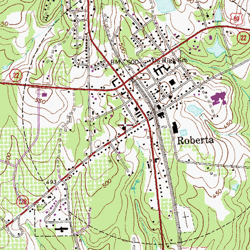 Topographic Map of Roberta Methodist Church, GA