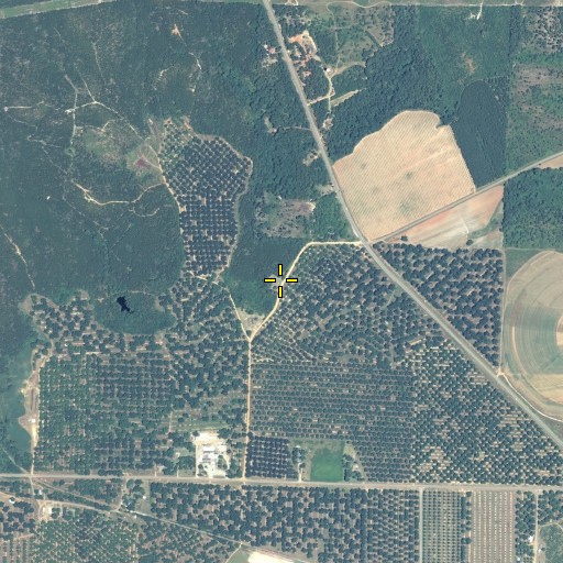 Aerial/Satellite Image of Ross Chapel Cemetery, GA