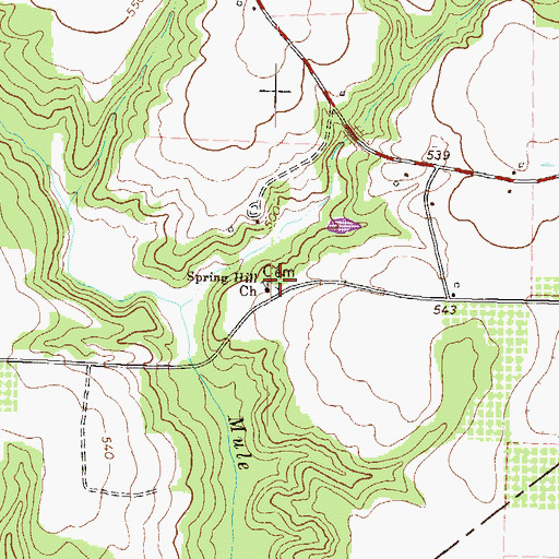 Topographic Map of Spring Hill Cemetery, GA