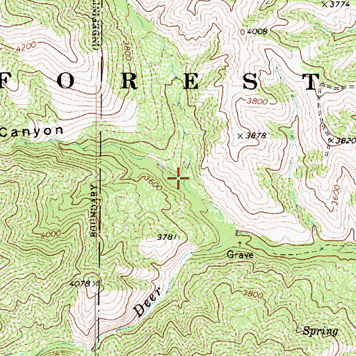 Topographic Map of Shake Tree Canyon, AZ