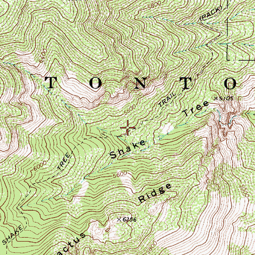 Topographic Map of Shake Tree Trail, AZ