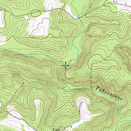 Topographic Map of Mountain Branch, GA