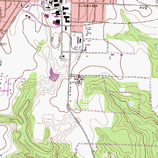 Topographic Map of Alice Ingram Subdivision, GA