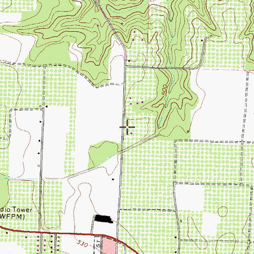 Topographic Map of Fort Valley Church, GA