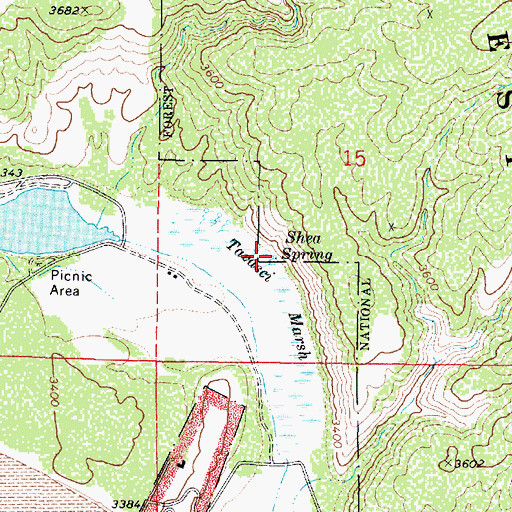 Topographic Map of Shea Spring, AZ