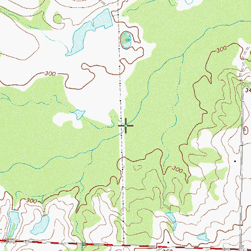 Topographic Map of Rainey Ford, GA