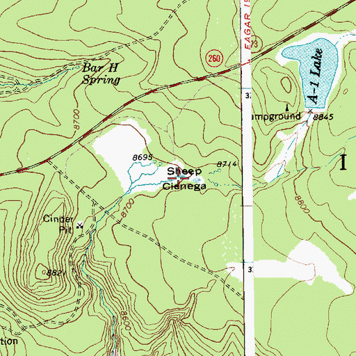 Topographic Map of Sheep Cienega, AZ