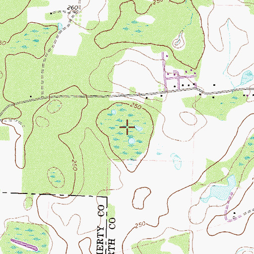Topographic Map of Gammage Pond, GA