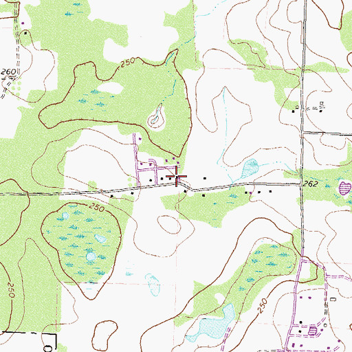 Topographic Map of New Mount Olive Church, GA
