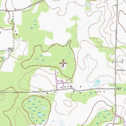 Topographic Map of Rocky Branch Pond (historical), GA