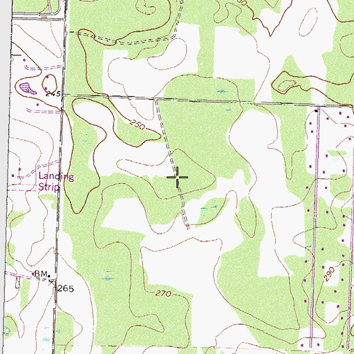 Topographic Map of Thomas Acres, GA