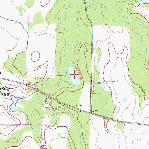 Topographic Map of Waving Pond, GA