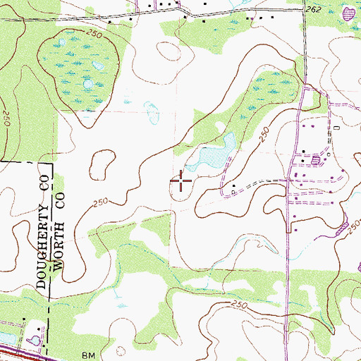 Topographic Map of Yellow Pond, GA