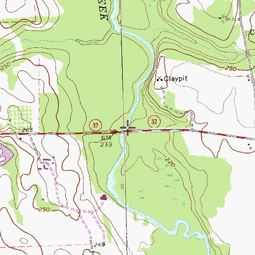 Topographic Map of Forrester Bridge, GA