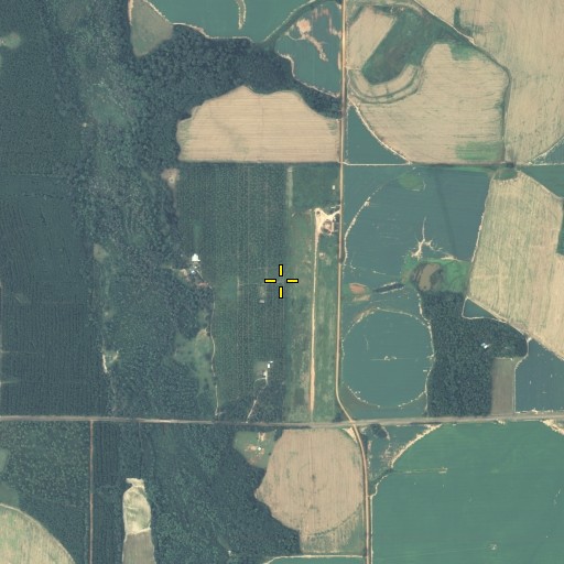 Aerial/Satellite Image of Smithville Airport (historical), GA