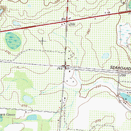 Topographic Map of Flintside, GA