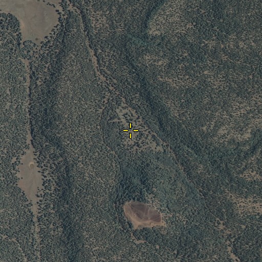 Aerial/Satellite Image of Sheep Spring, AZ