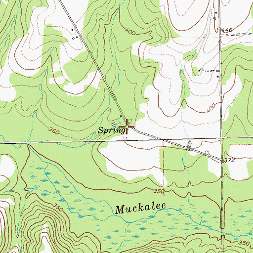 Topographic Map of Myrtle Springs (historical), GA