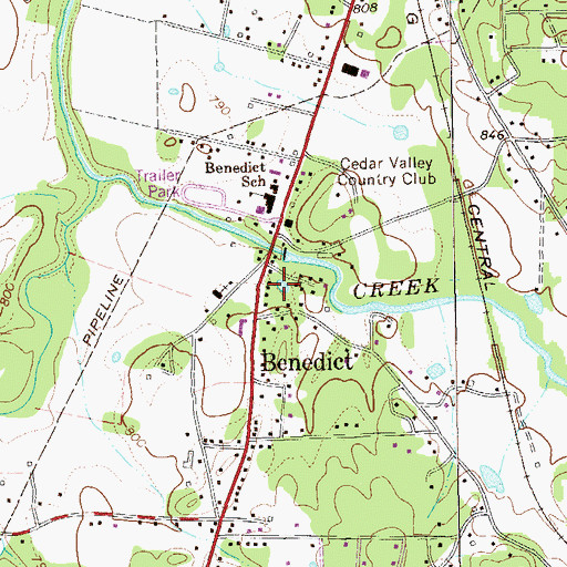 Topographic Map of Benedicts Pond, GA