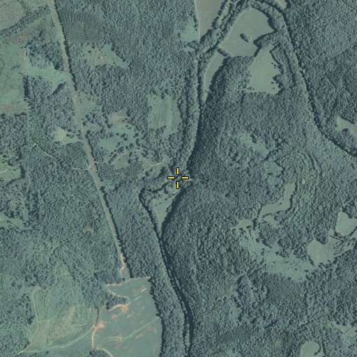 Aerial/Satellite Image of Kings Bridge, GA