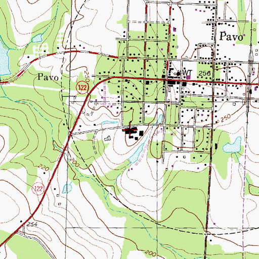 Topographic Map of Pavo Elementary School, GA
