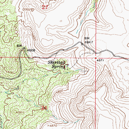 Topographic Map of Shirttail Spring, AZ