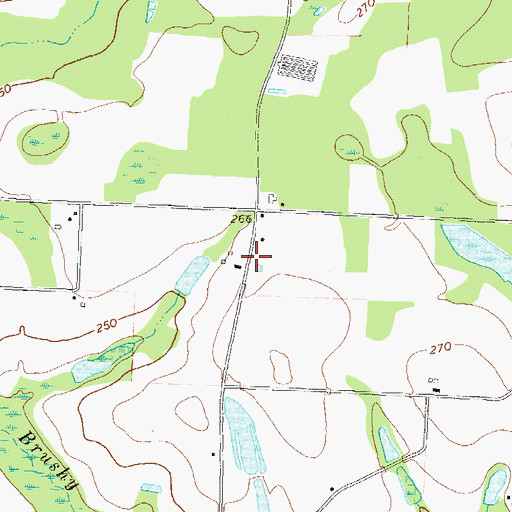 Topographic Map of Brushy Creek School (historical), GA