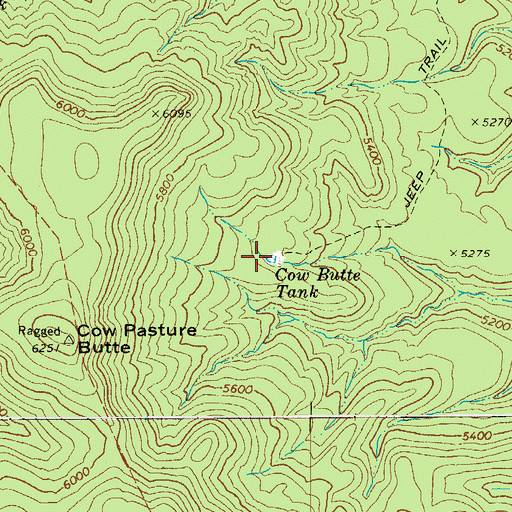 Topographic Map of Cow Butte Tank, AZ