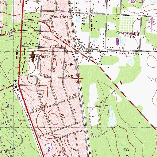 Topographic Map of Ganor, GA