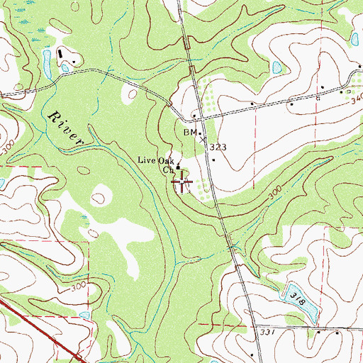 Topographic Map of Live Oak Cemetery, GA