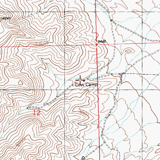 Topographic Map of Cow Camp, AZ