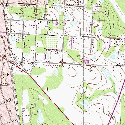 Topographic Map of South Moultrie, GA