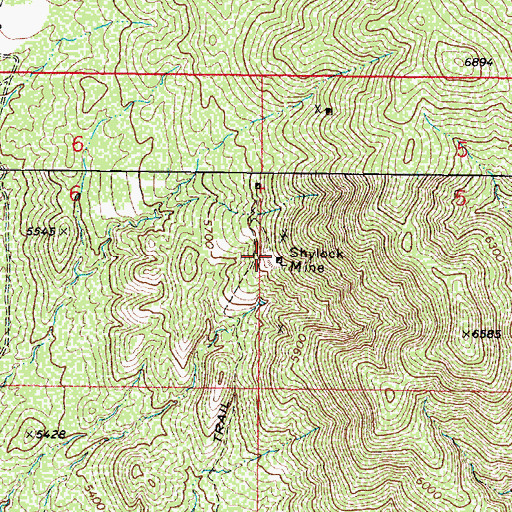 Topographic Map of Shylock Mine, AZ